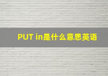 PUT in是什么意思英语